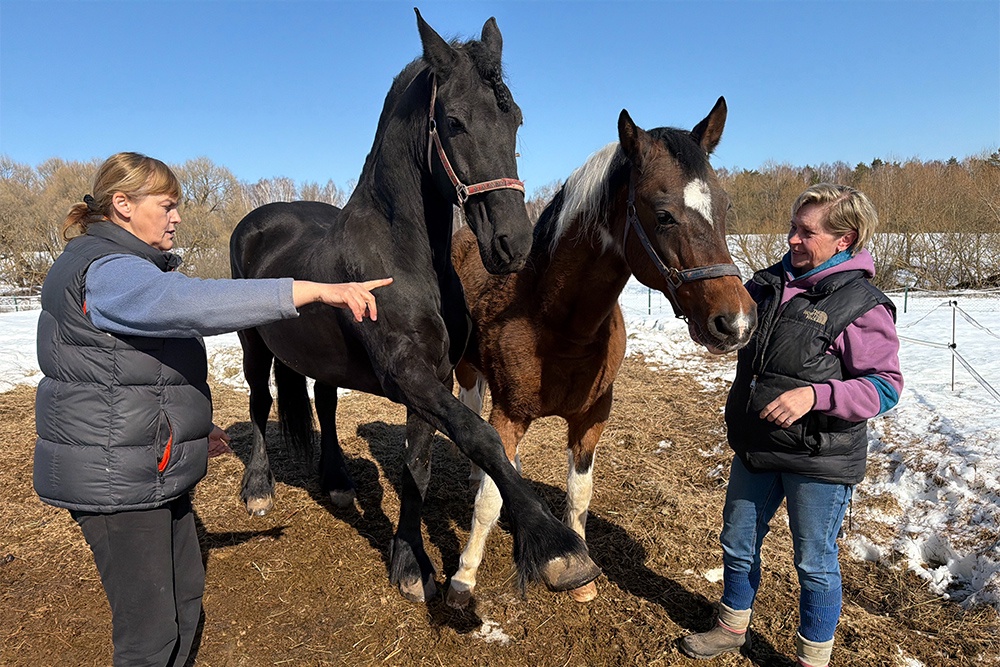 Конь Фриз и дрессировщица Елена Павлович.