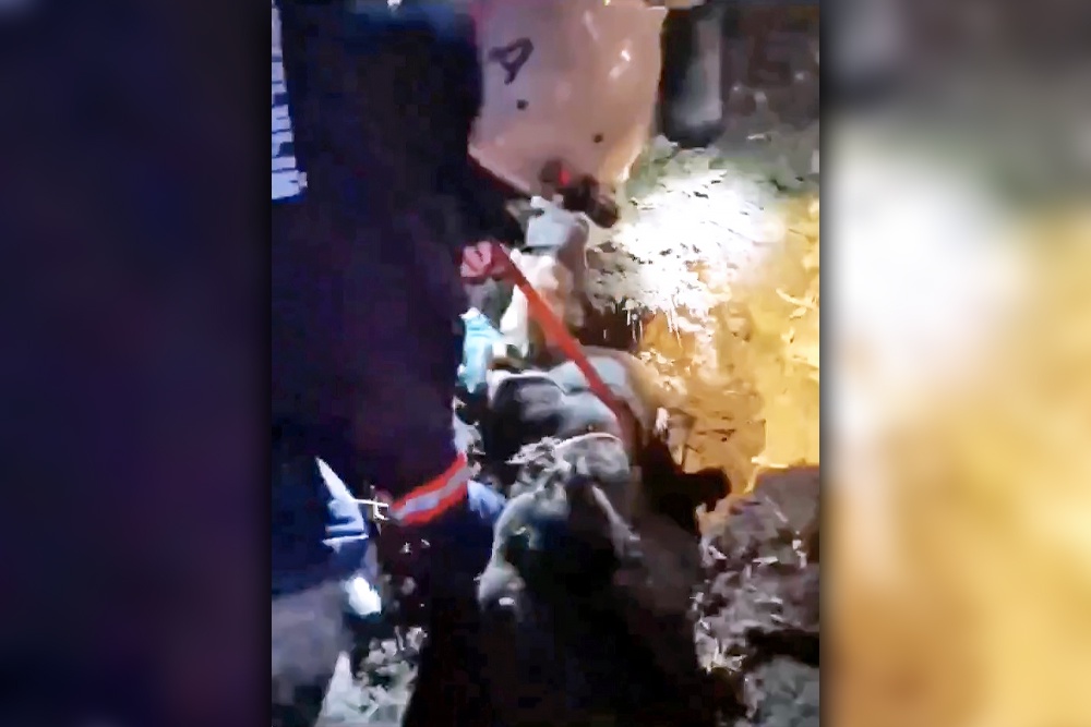 Собаку благополучно достали из погреба со старыми домашними закрутками.