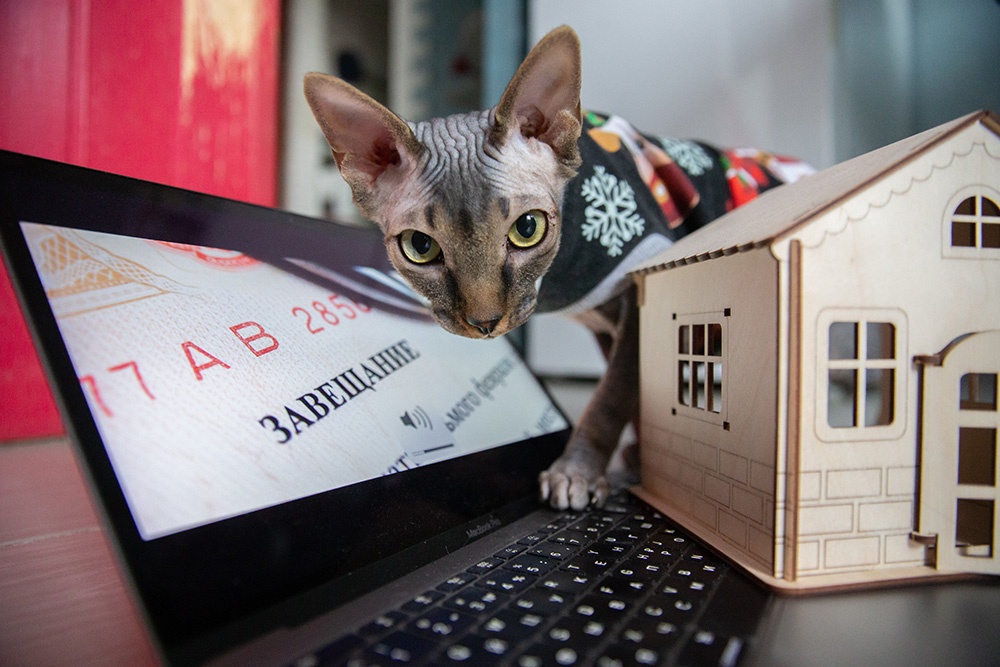 Если человек имел право вернуть свои деньги, но не успел это сделать при жизни, то получить их может его наследник.