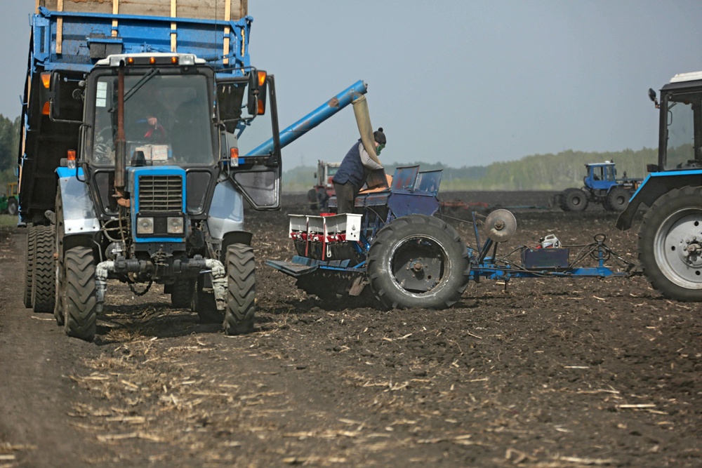 В Зауралье фермеры стали закрывать хозяйства из-за бюрократии