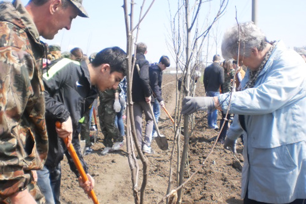 Участие в экологических акциях по высадке деревьев на Ставрополье принимают участие жители всех городов и округов