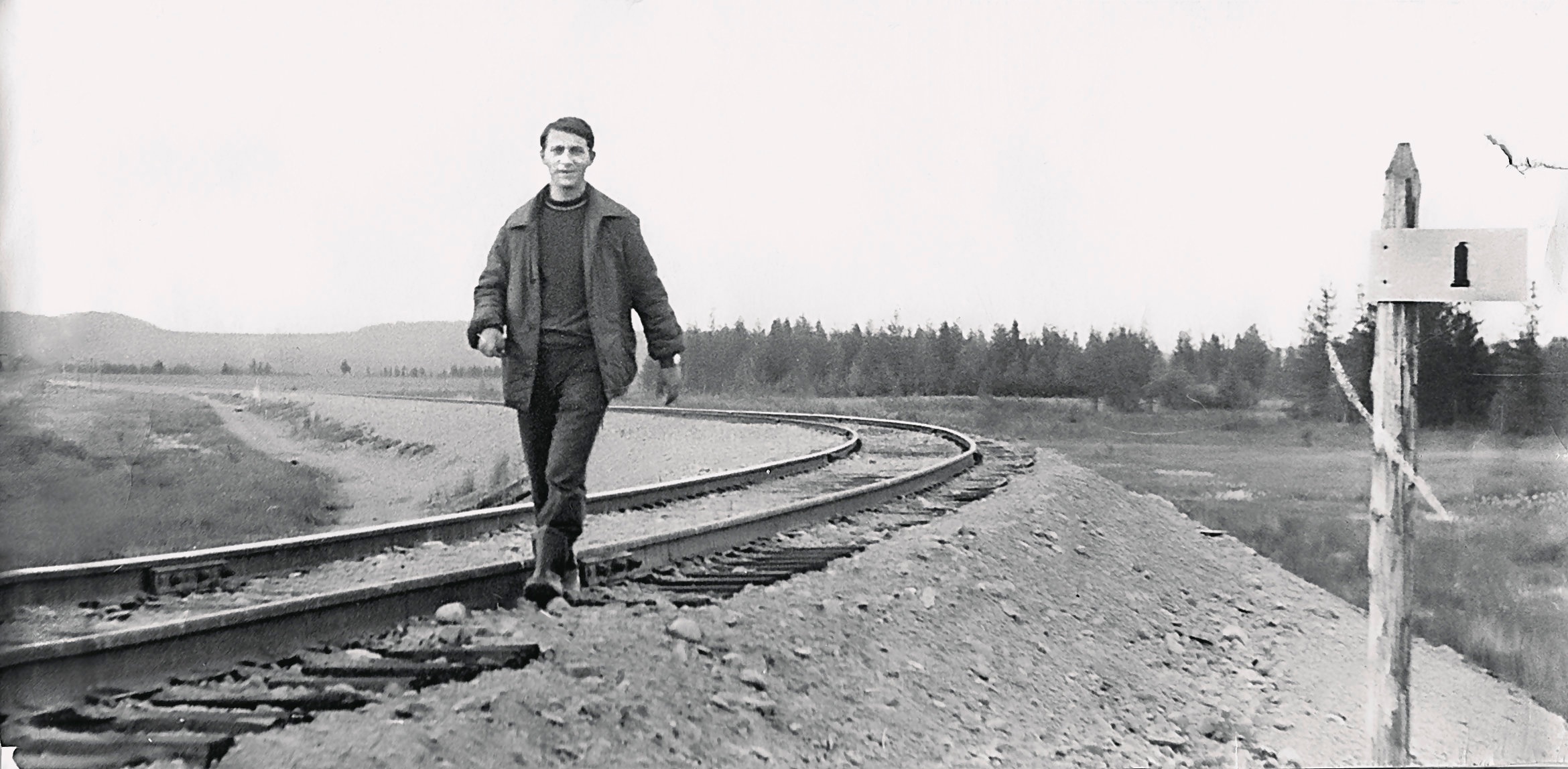 На дальней станции сойду...