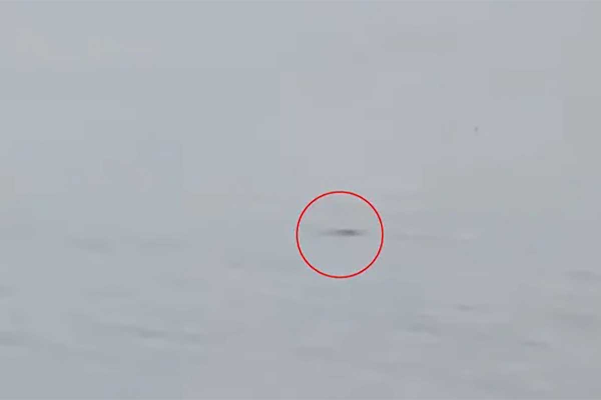Необычный предмет в озере Лох-Несс попал на видео. Необычный предмет в озере Лох-Несс попал на видео.