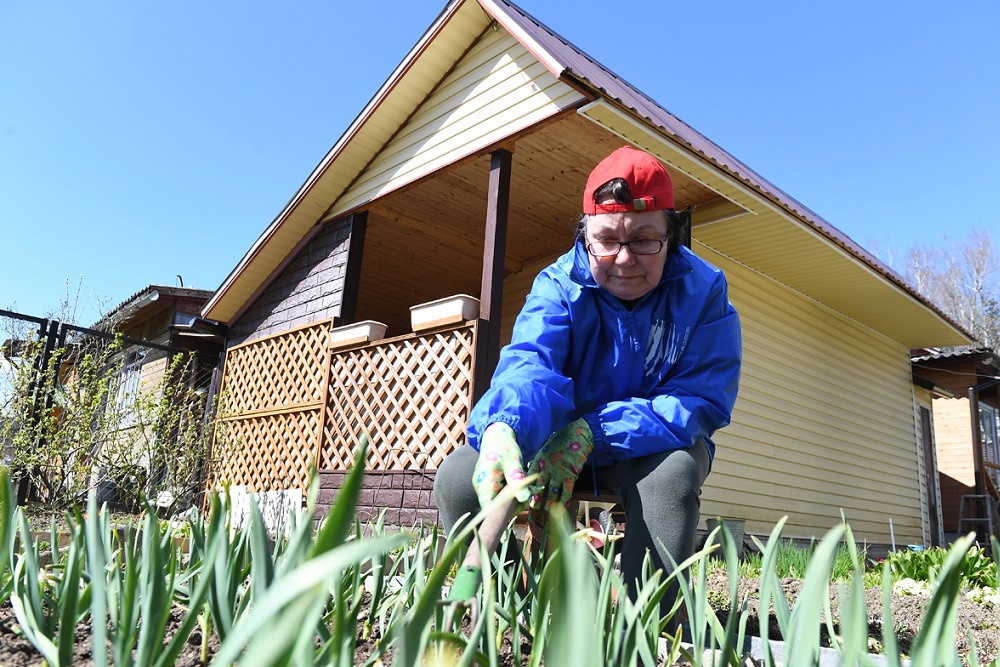 Подкормка в это время требуется всем растениям: и деревьям, и кустарникам, и цветникам.
