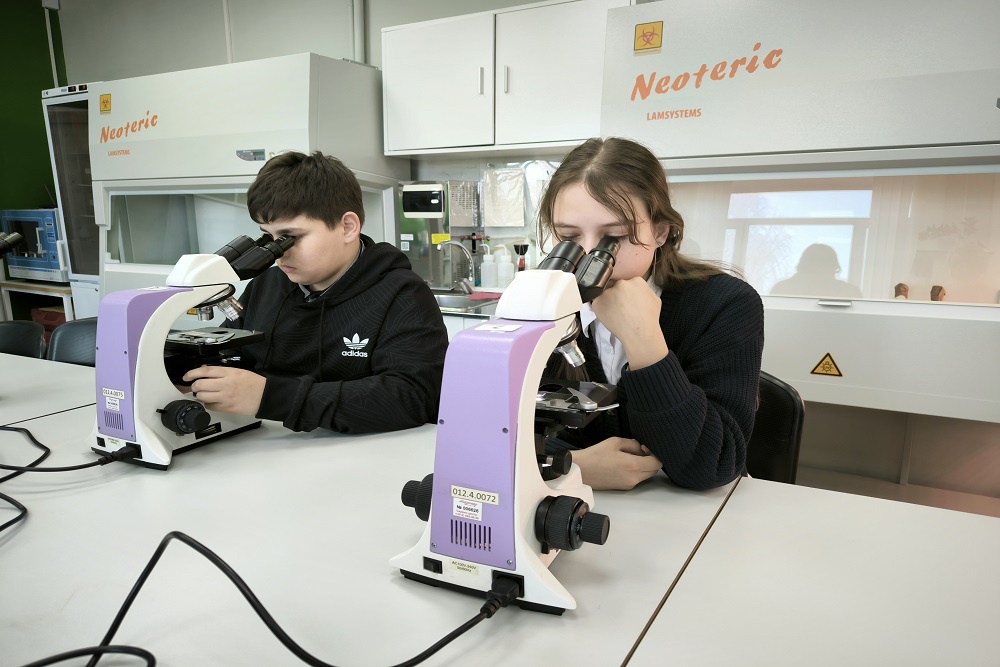 Помидофели (помидоры, скрещенные с картофелем) начали выращивать юные генетики из Архангельской области