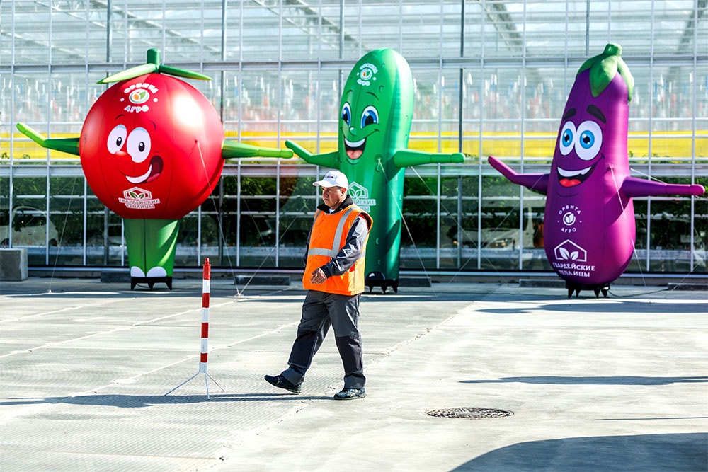 Наиболее заметно падают цены на огурцы (-4,1%) и помидоры (-1,2%), которые ранее демонстрировали рост.