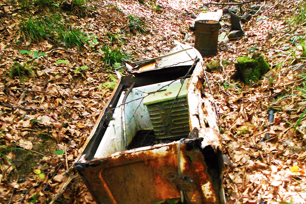 Ущерб природе от многочисленных нелегальных свалок мусора исчисляется миллиардами рублей. 