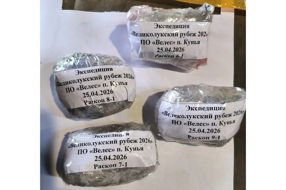 Поисковики уже подняли останки 27 бойцов Красной армии, нашли 11 солдатских медальонов. Поисковики уже подняли останки 27 бойцов Красной армии, нашли 11 солдатских медальонов.