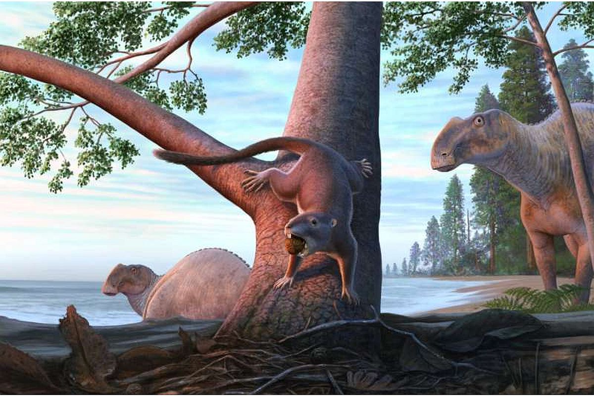 Реконструкция соседства нового вида Cimolodon desosai с динозаврами. Реконструкция соседства нового вида Cimolodon desosai с динозаврами.