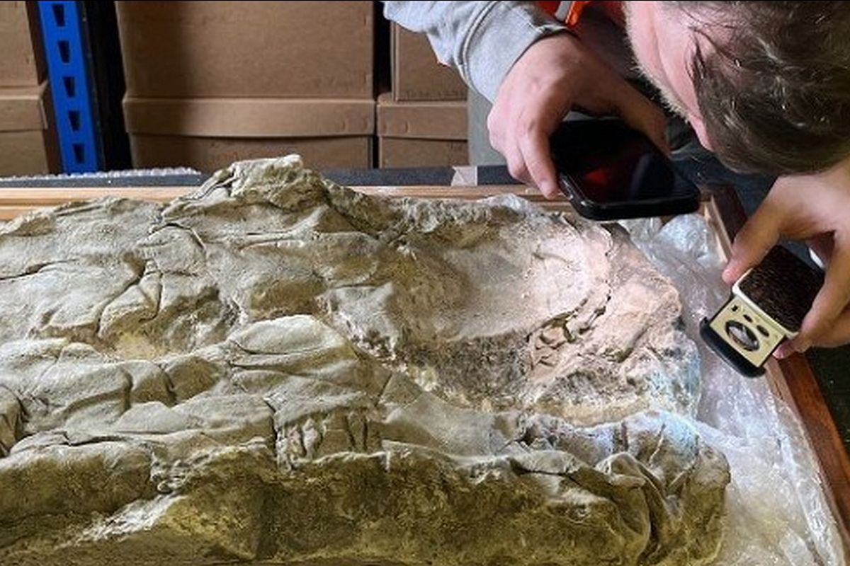 Исследование показало, что двое младенцев, похороненных в римском Йорке, были погребены в дорогостоящей пурпурной ткани, обычно предназначенной для императоров.