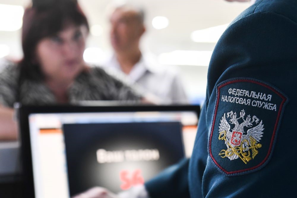 Основную долю занимают налоги на добавленную стоимость и на прибыль организаций.