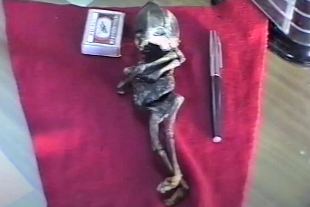 Фото гуманоида Алешеньки, сделанное в 1996 году милиционерами, после того как мумию доставили в отделение.