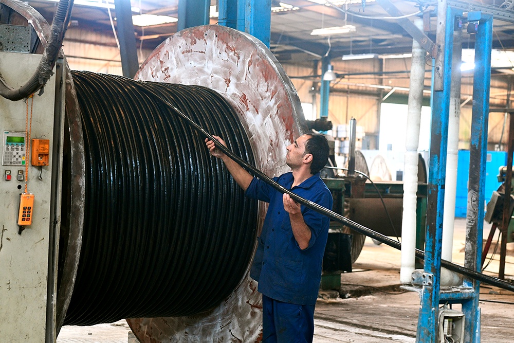 У страны хорошие позиции по импортозамещению кабелей, проводов и изделий из пластика, таких как розетки и выключатели.