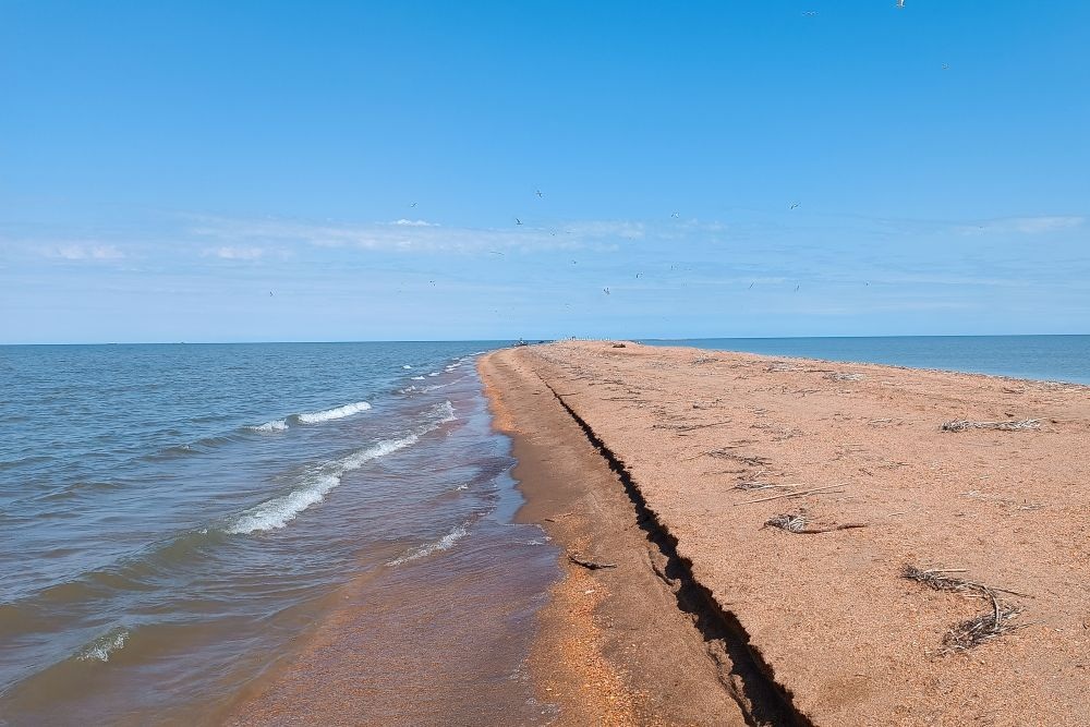 Остров в Каспийском море, образовавшийся на месте обмелевшей банки Тбилиси, за год вырос в высоту в два раза Остров в Каспийском море, образовавшийся на месте обмелевшей банки Тбилиси, за год вырос в высоту в два раза