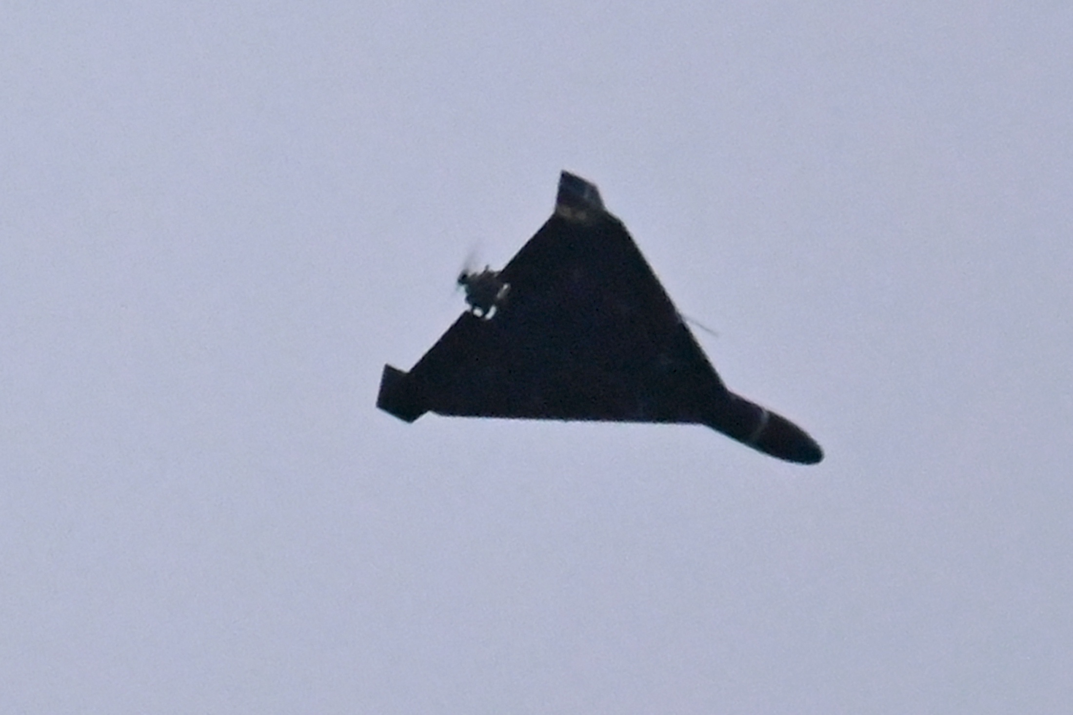 Герань-2.