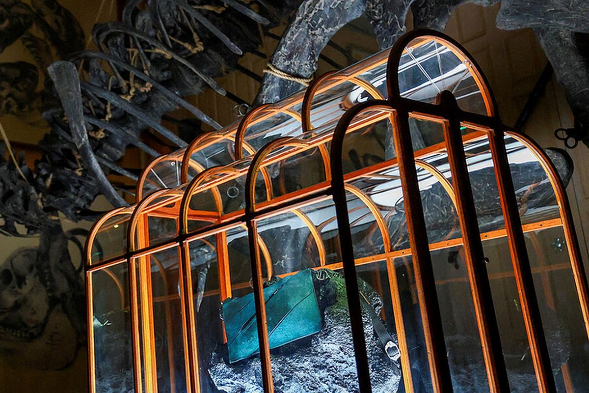 Сумочка была выставлена в музее Art Zoo под макетом тираннозавра. Это один из самых известных и крупных наземных хищников в истории Земли.