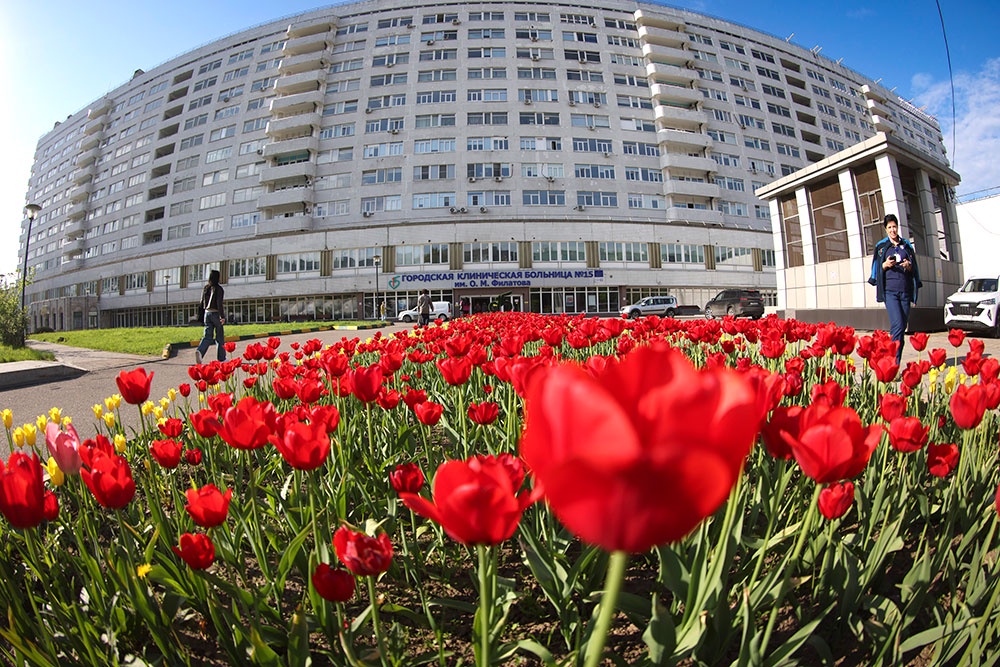 В год 45-летия Филатовской больницы цветы радуют всех - и пациентов, и врачей.
