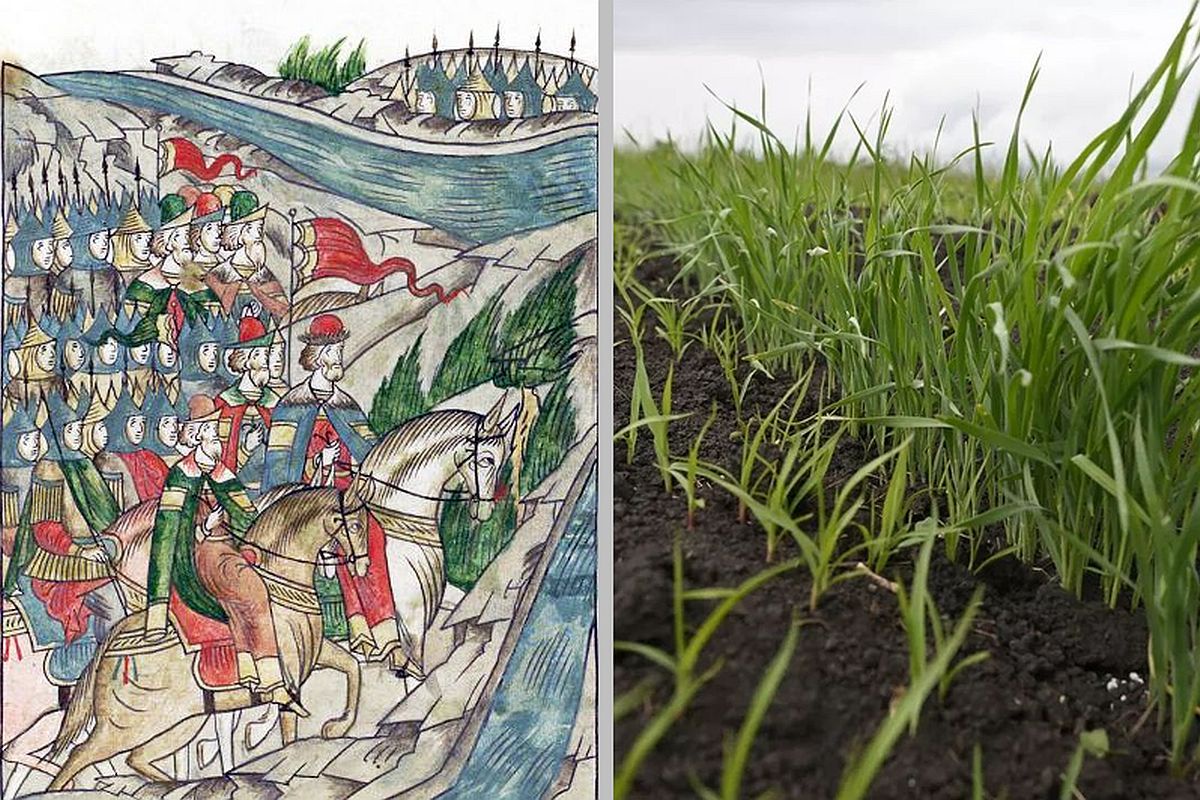 Всходы "из прошлого" уже видны на Куликовом поле. На фото слева: Дмитрий Донской на пути к Куликову полю. Лицевой летописный свод. XVI век. Всходы "из прошлого" уже видны на Куликовом поле. На фото слева: Дмитрий Донской на пути к Куликову полю. Лицевой летописный свод. XVI век.