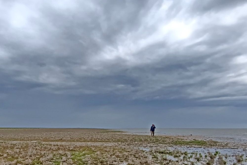 Высохшее дно Каспийского моря на севере дагестанского острова Чечень, который давно из-за обмеления стал полуостровом. Высохшее дно Каспийского моря на севере дагестанского острова Чечень, который давно из-за обмеления стал полуостровом.