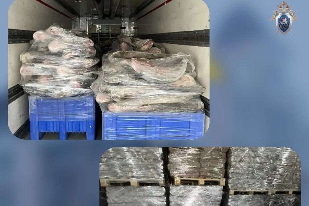 Под Астраханью в Володарском районе следователи накрыли склады с немаркированной рыбой Под Астраханью в Володарском районе следователи накрыли склады с немаркированной рыбой
