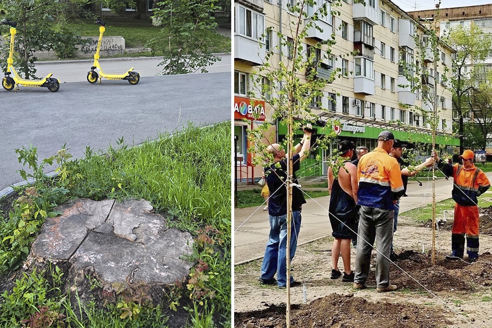 Деревья - не роскошь, а средство выживания горожан в жару.