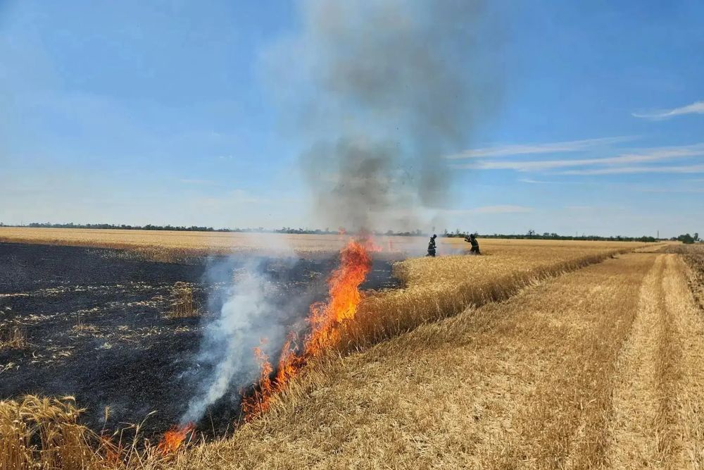 Горящие поля после налета БПЛА в Приазовском районе Запорожской области Горящие поля после налета БПЛА в Приазовском районе Запорожской области