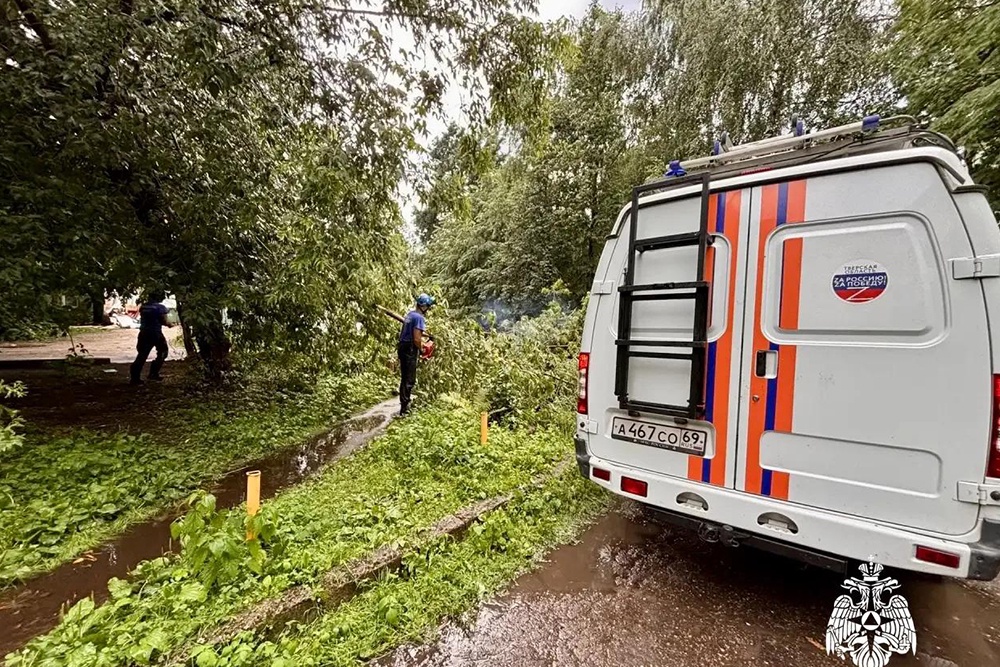 Ураганный ветер с порывами до 25 метров в секунду повалил сотни деревьев. Ураганный ветер с порывами до 25 метров в секунду повалил сотни деревьев.