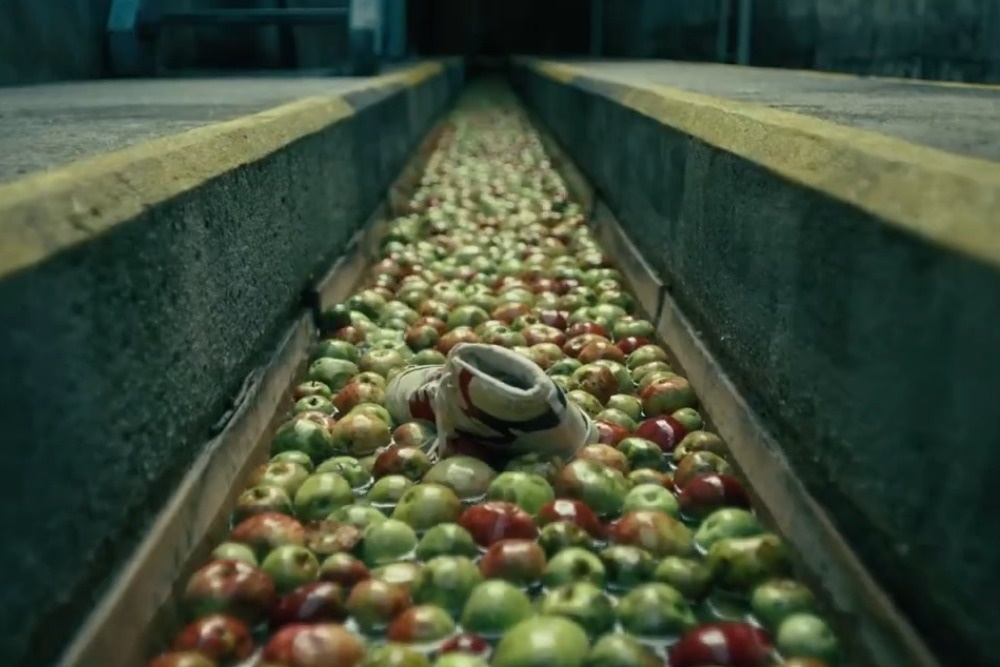 Bad Apples дословно переводится как "плохие (гнилые) яблоки". Это английский аналог "паршивой овцы", однако испорченные фрукты в картине все же присутствуют Bad Apples дословно переводится как "плохие (гнилые) яблоки". Это английский аналог "паршивой овцы", однако испорченные фрукты в картине все же присутствуют