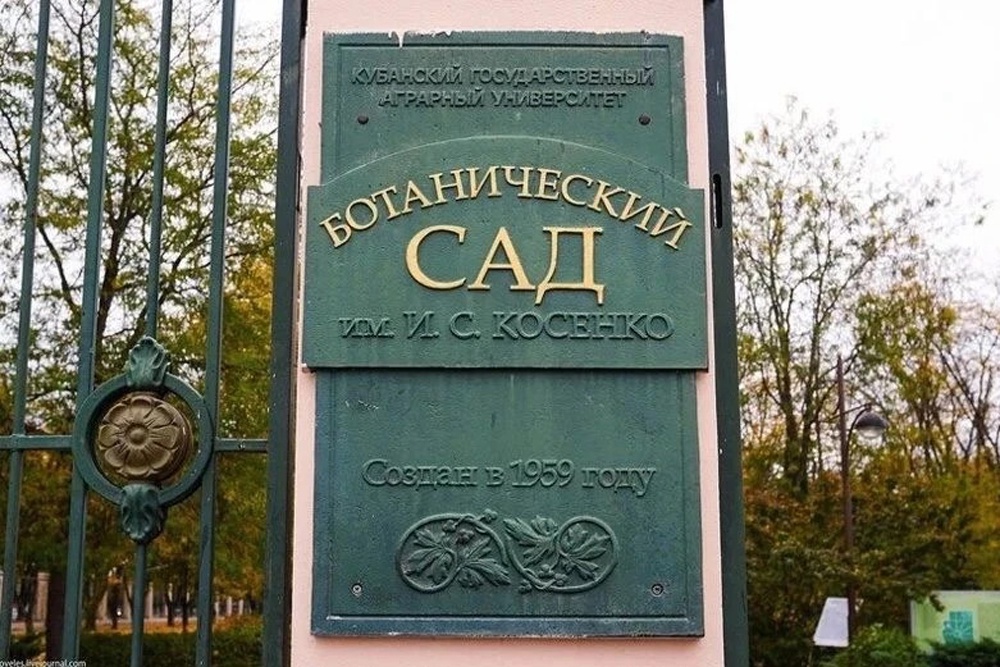 В Ботаническом саду собрано более 1 500 видов и сортов растений В Ботаническом саду собрано более 1 500 видов и сортов растений