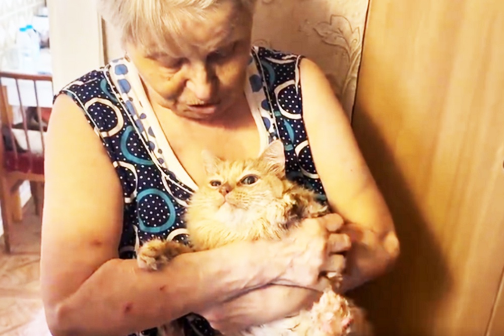 Кот Тима на руках у хозяйки. Кот Тима на руках у хозяйки.