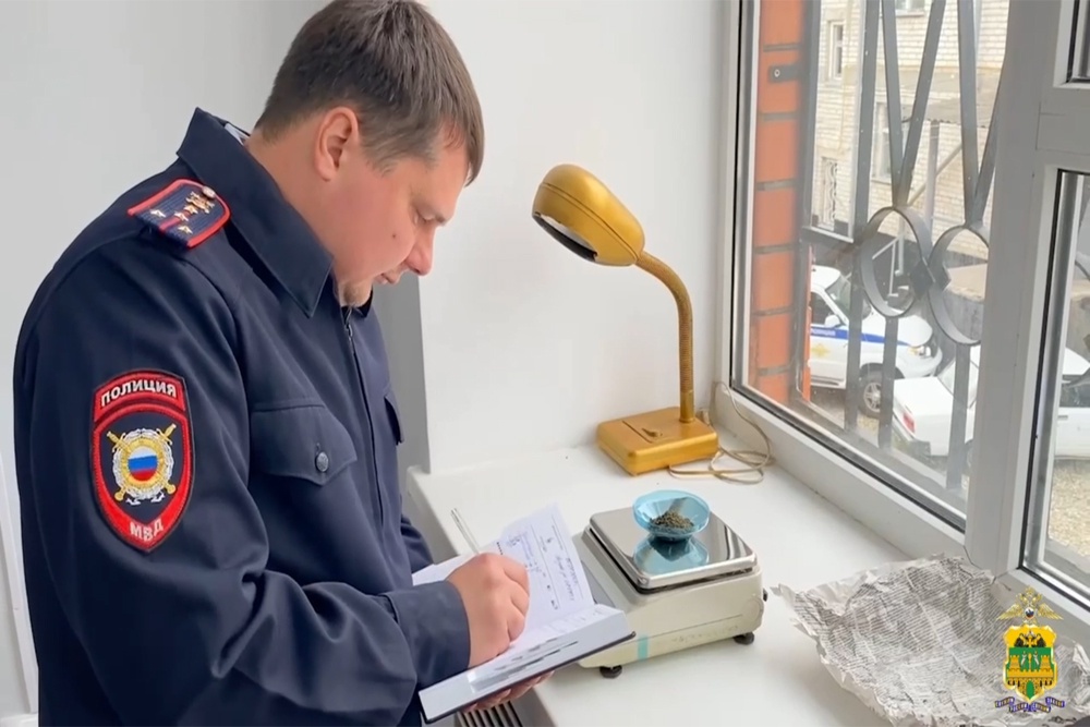 Правоохранители изъяли 900 граммов марихуаны на Кубани Правоохранители изъяли 900 граммов марихуаны на Кубани