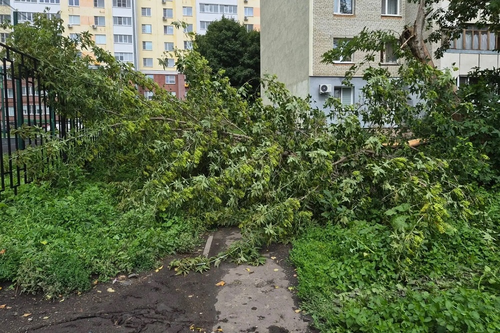 На Пензу обрушилась непогода. На Пензу обрушилась непогода.