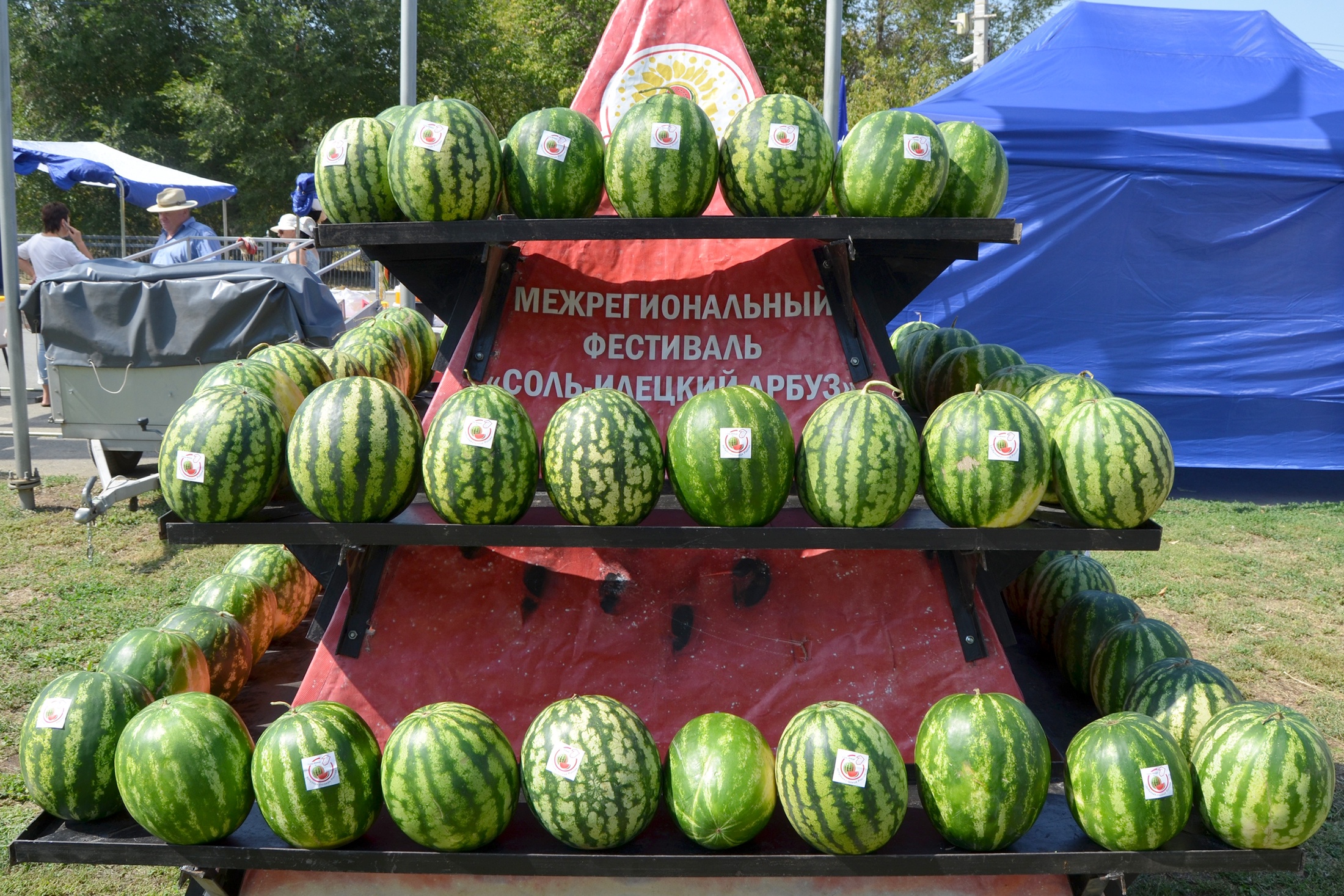 Фестиваль "Соль-Илецкий арбуз" пройдет 22 августа.