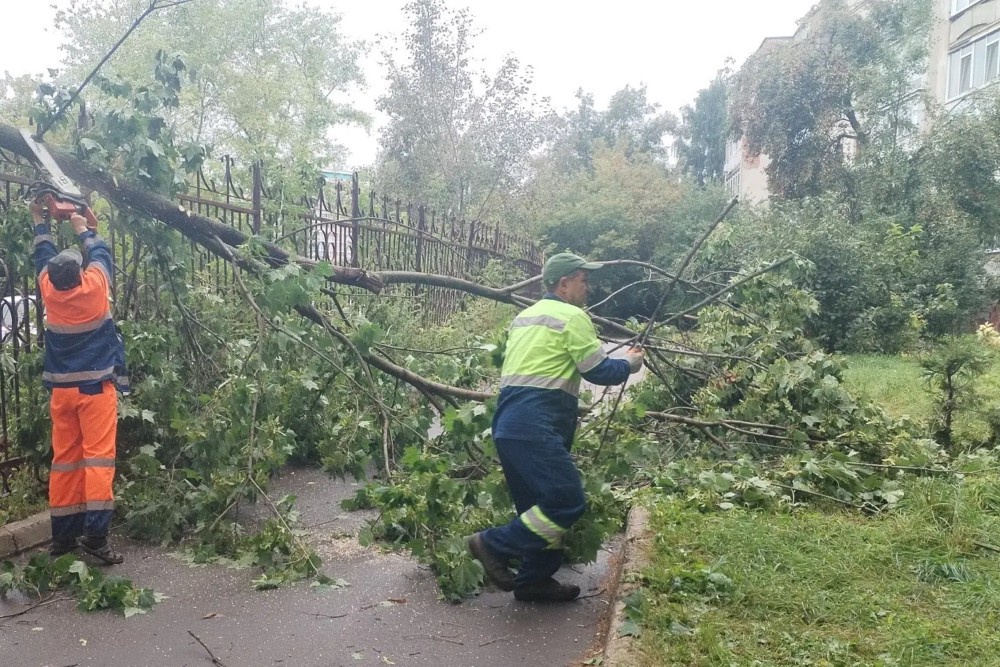 В Ижевске ликвидируют последствия усиления ветра.