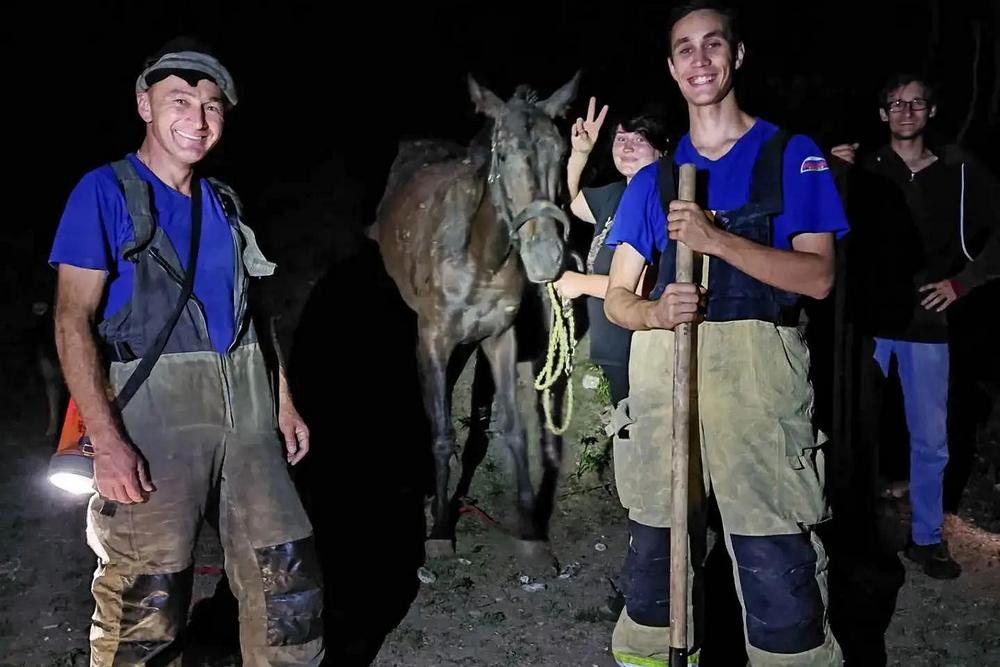 Лошадь достали из трехметрового провала, животное не пострадало. 