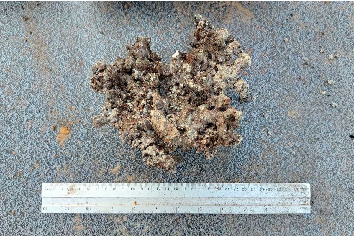 Потратив больше 40 килограммов древесного угля, археологи из пяти кило сырья получили 550 граммов крицы - губчатого железа с вкраплениями шлака. Потратив больше 40 килограммов древесного угля, археологи из пяти кило сырья получили 550 граммов крицы - губчатого железа с вкраплениями шлака.