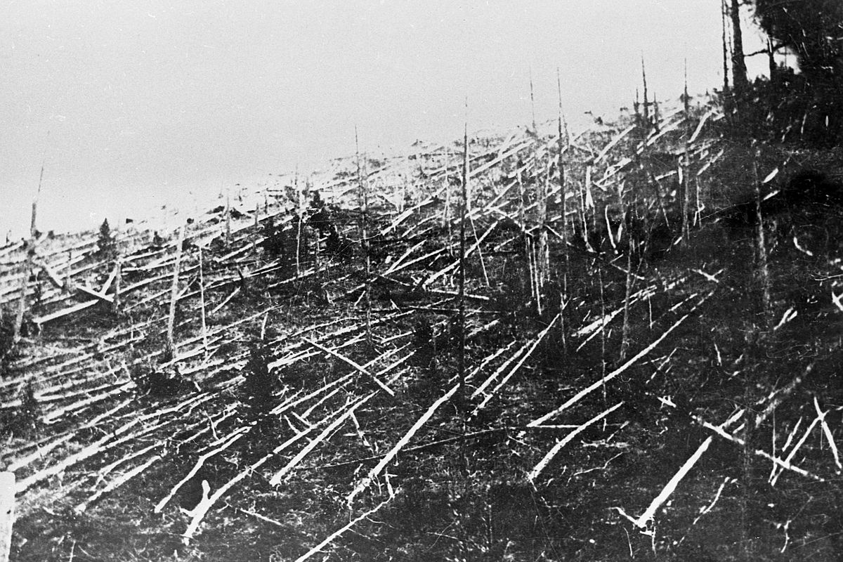 В районе падения Тунгусского метеорита. Так выглядела тайга в 1927 году, когда ученые добрались до места падения.