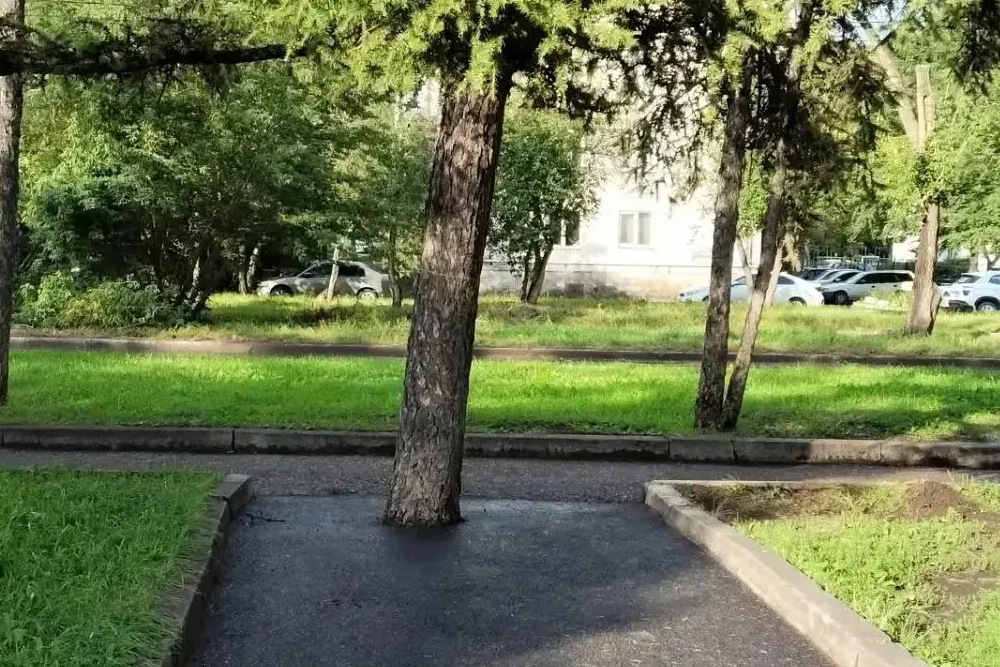Мэр удивился такому техническому решению. 
