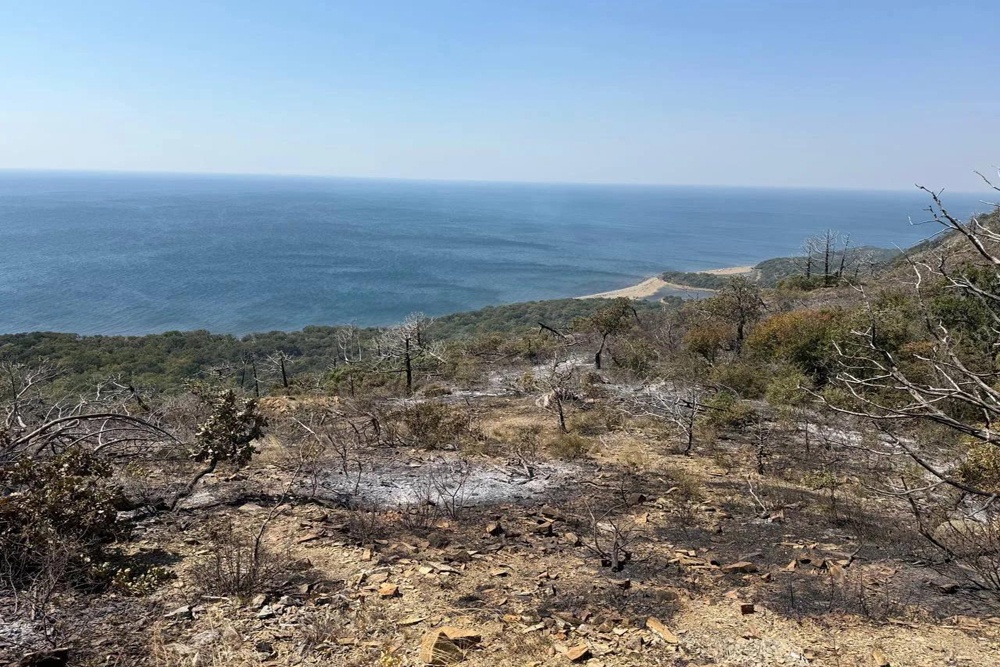 Пожарные проводят осмотр и дополнительно льют воду на участки, где был пожар