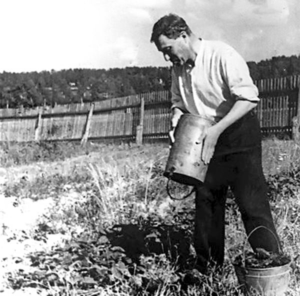 Борис Пастернак на огороде в Переделкино. 1946 год. Борис Пастернак на огороде в Переделкино. 1946 год.