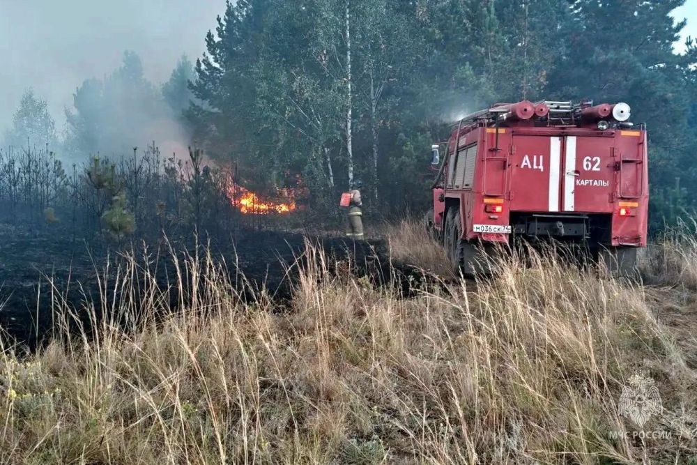 Всего за сутки в области ликвидировано 52 природных пожара. Всего за сутки в области ликвидировано 52 природных пожара.