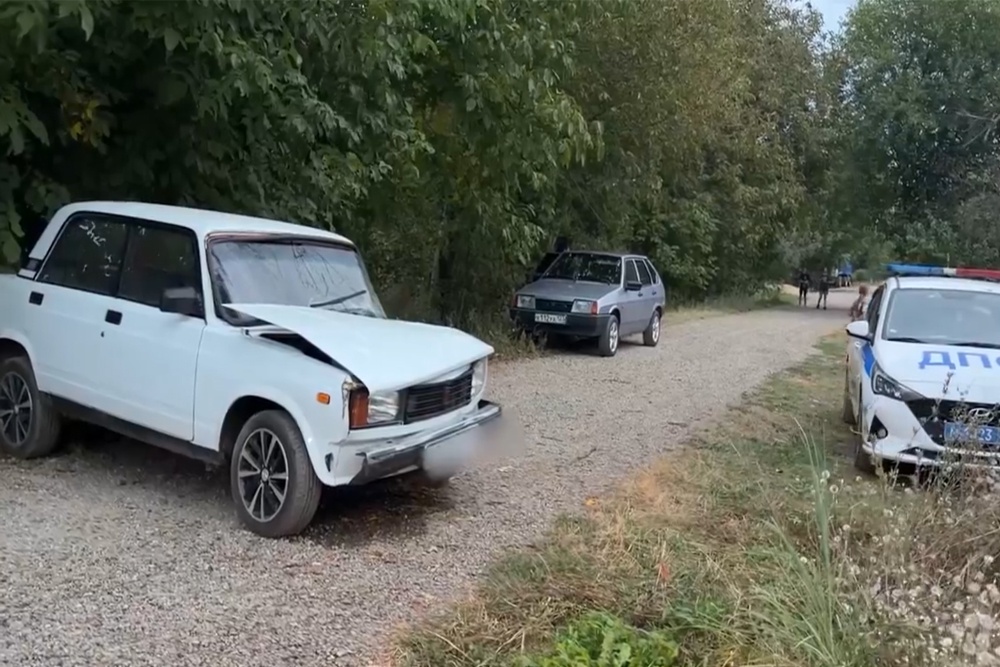 Школьник во время погони от правоохранителей врезался в дерево