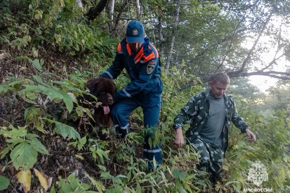 Хозяин пытался вытащить 80-килограммового питомца, но не смог и вызвал спасателей. Хозяин пытался вытащить 80-килограммового питомца, но не смог и вызвал спасателей.