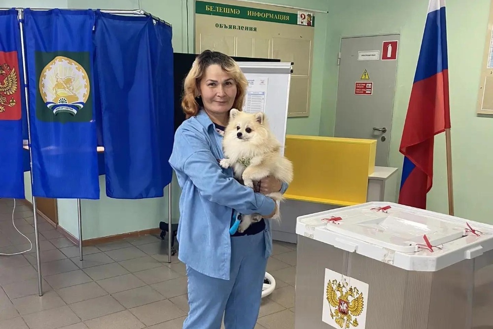 Многие приходят на участки для голосования с питомцами.