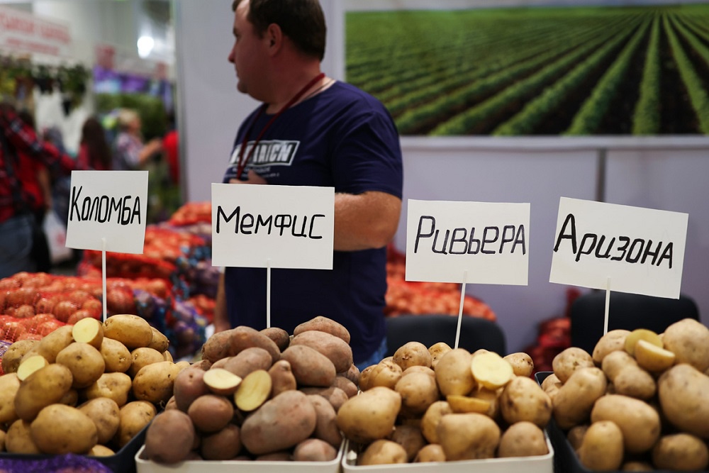 Аграрии сегодня готовы предлагать второй хлеб на любой вкус и даже цвет.