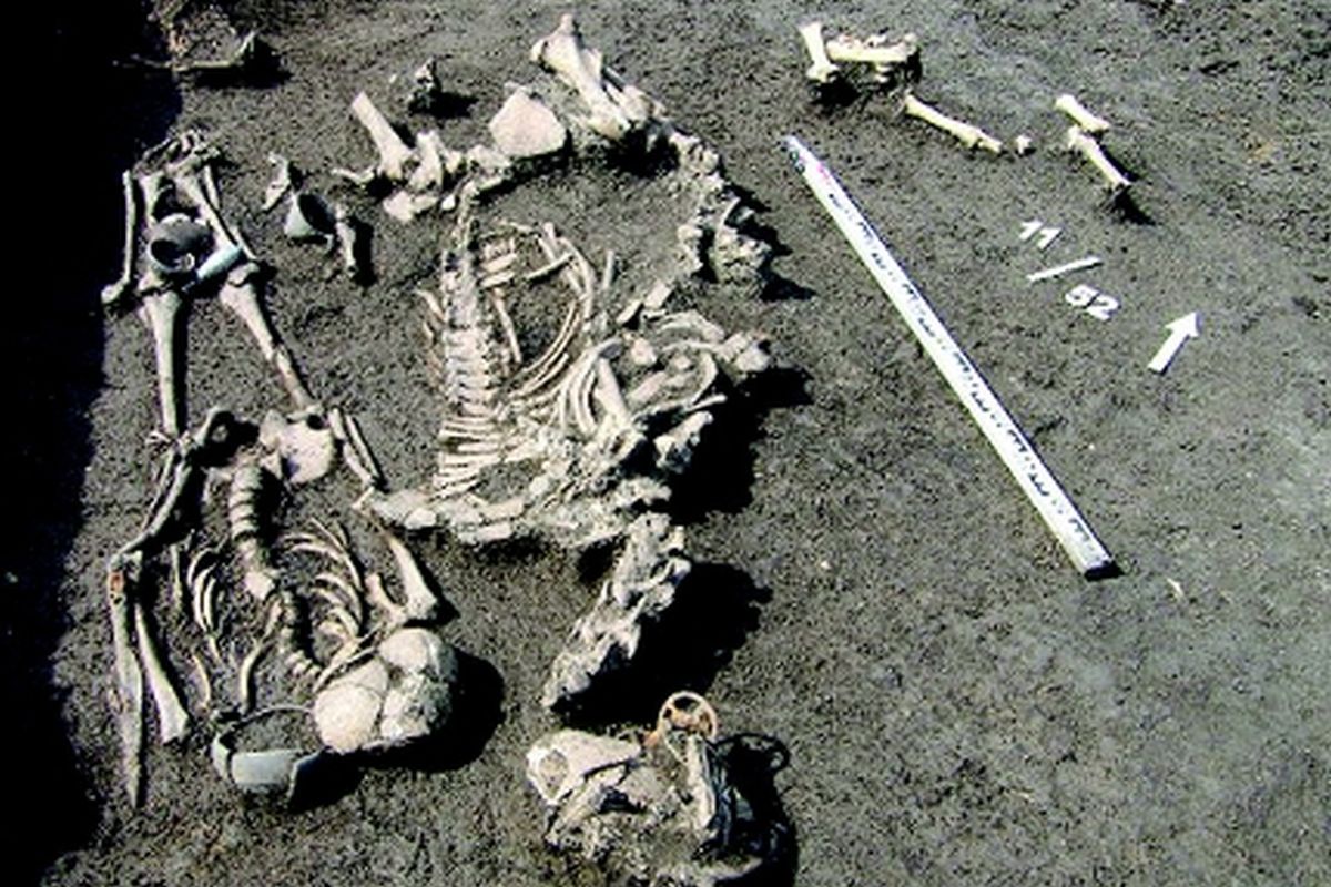 Захоронение №52 на некрополе Виноградный 1 с останками воина-всадника и коня. Захоронение №52 на некрополе Виноградный 1 с останками воина-всадника и коня.