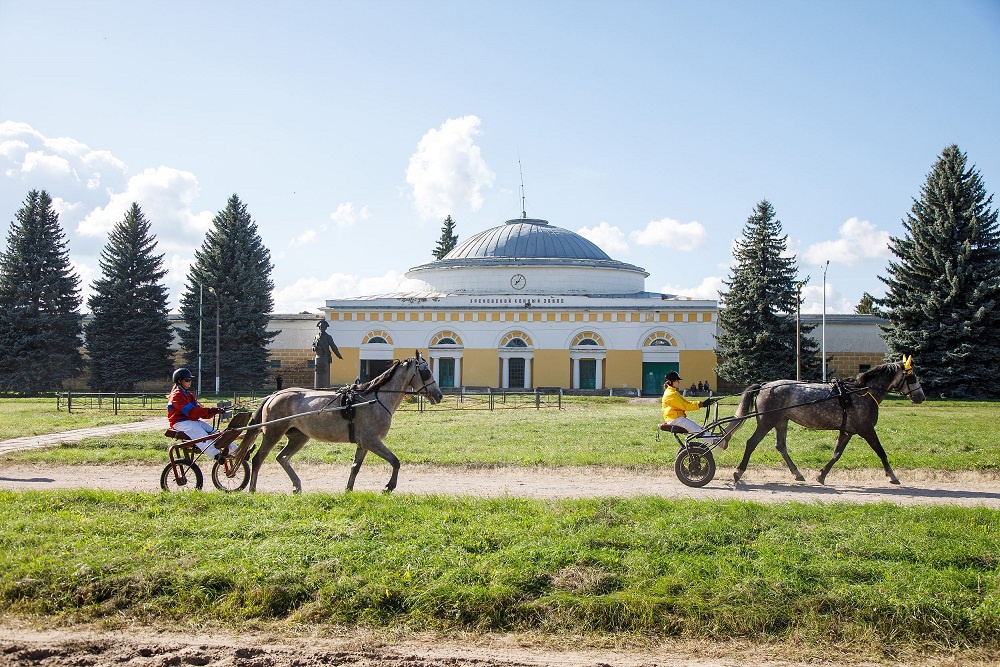 В Бобровском районе готовятся отметить 250-летие Хреновского конного завода