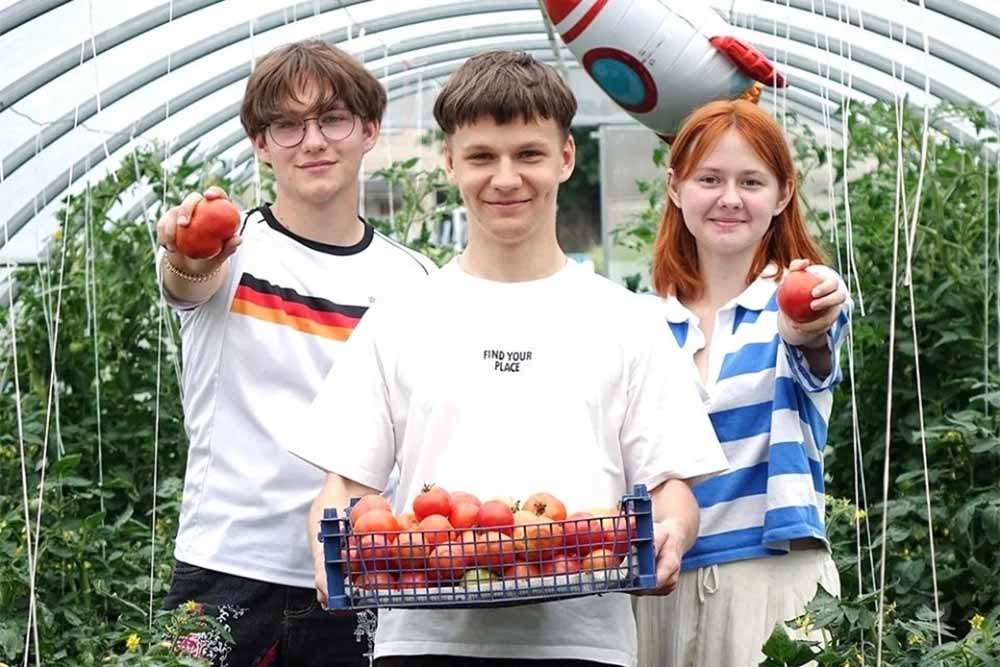 Гимназисты из Ивья собирают космический урожай. Гимназисты из Ивья собирают космический урожай.