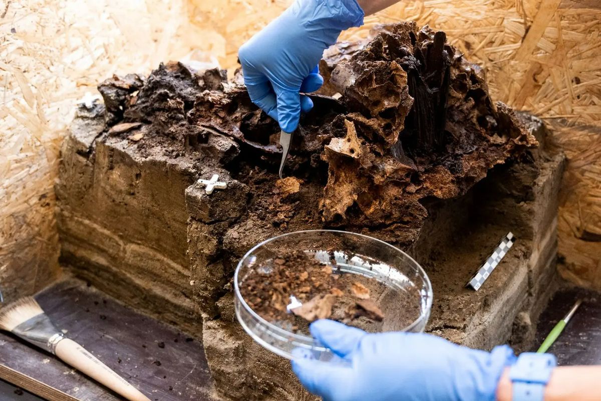 Этой находке около 10 500 лет. 
