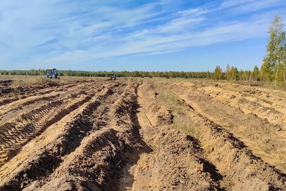 Здесь появятся будущие посадки леса. Здесь появятся будущие посадки леса.